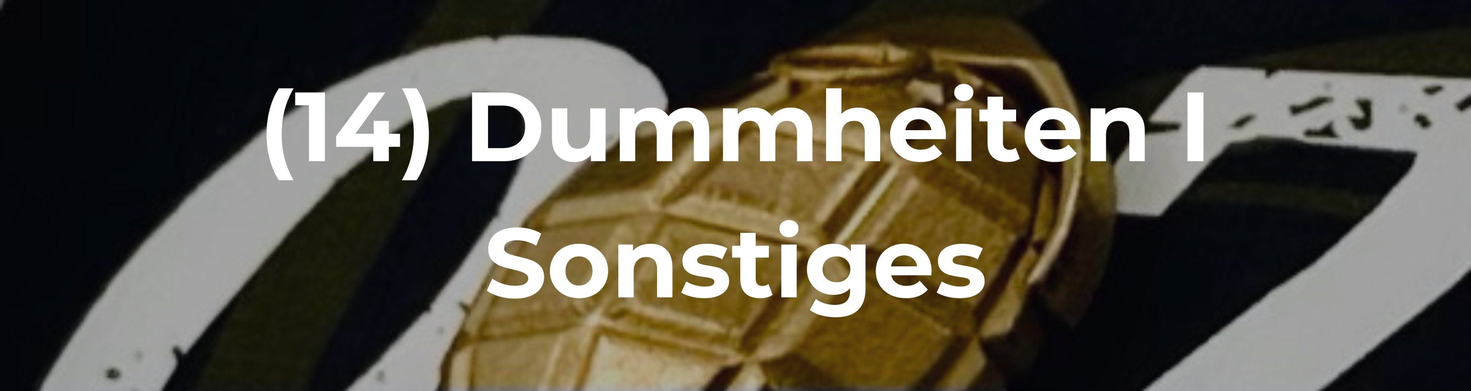 Dummheiten I Sonstiges