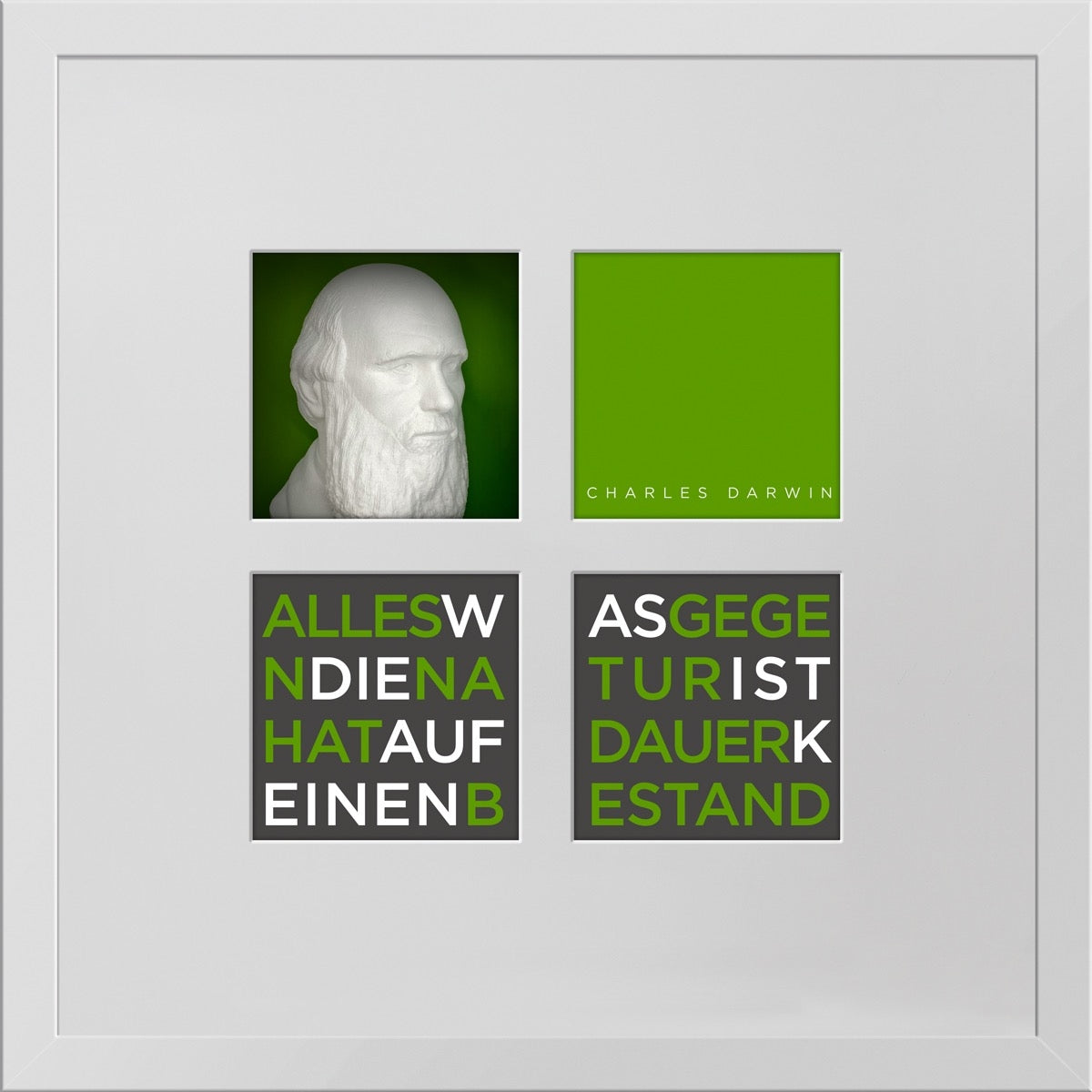 Charles Darwin – 3D-Objektbild als Hommage