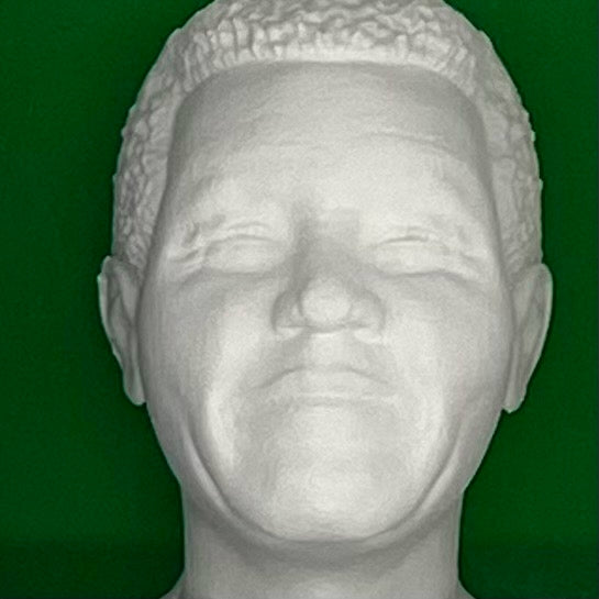 Nelson Mandela – 3D-Objektbild als Hommage