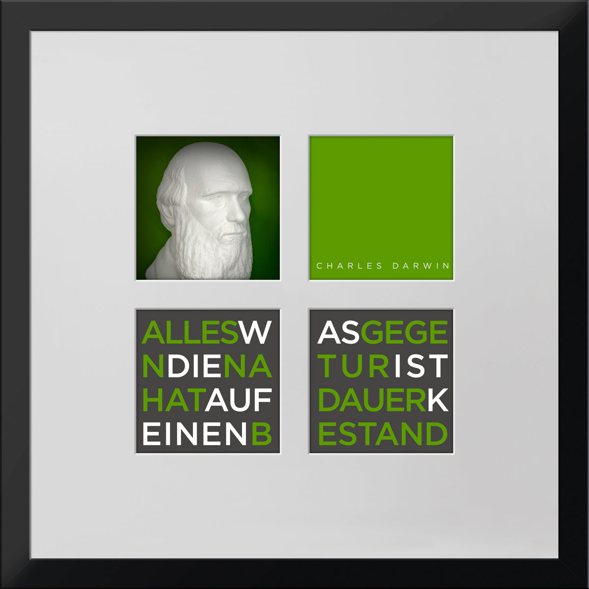 Geschenk 3D-Objektbild 'Charles Darwin', Rahmen Schwarz